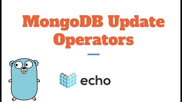 RESTful API in Golang using Echo - MongoDB update operators