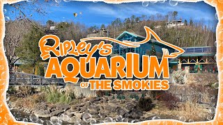 Welcome to Ripleys Aquarium of the Smokies