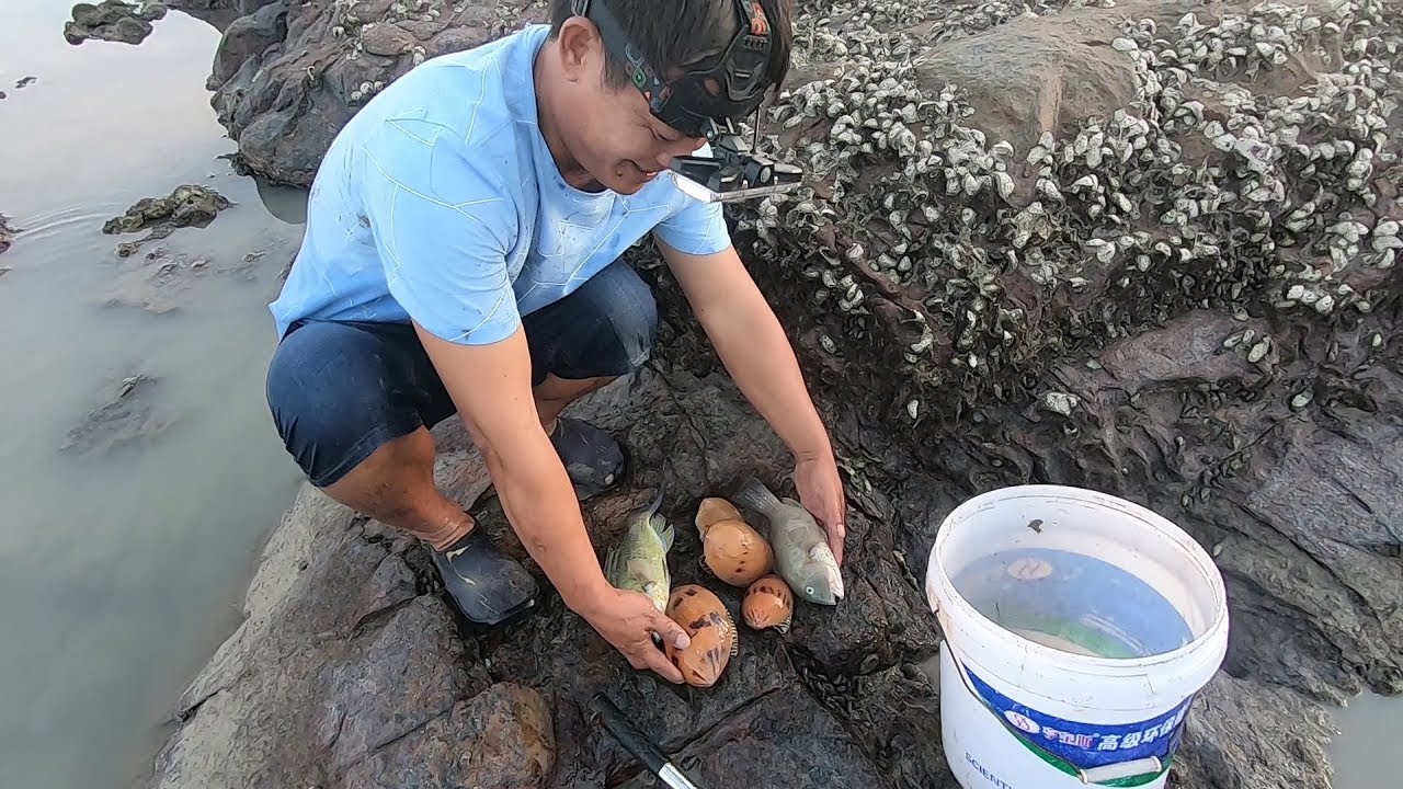 老四凌晨去海边浑水摸鱼，摸到一个破渔网，上面竟然缠住6只海货