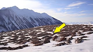 DRONE Makes A Chilling Discovery On Mountain, No One Is Supposed To See This