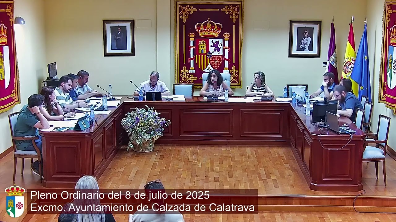 Pleno Ordinario del 8 de Julio de 2025