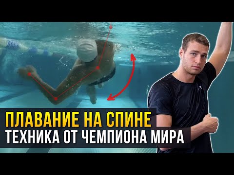 Как плавать на спине?  5 правил от ЧЕМПИОНА МИРА! Техника плавания на спине + ЧЕК ЛИСТ