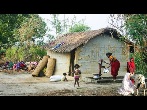 Video: Ndihma Për Kafshët Pas Tërmeteve Dhe Katastrofave Të Tjera - Çfarë Mund Të Bëni Për Të Ndihmuar Kafshët Në Tërmetin Në Nepal