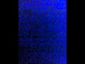 僕はここにいる