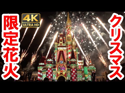 フロリダ・ディズニーワールド／限定花火「ミニーのワンダフル