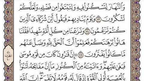سورة القصص الشيخ ياسر الدوسري صفحة ٣٩٤