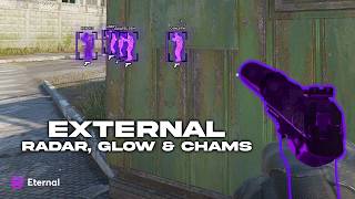 CS2 Stream-Proof Radar, Glow (ESP), Chams & more!