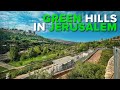 Jerusalem the beautiful green hills