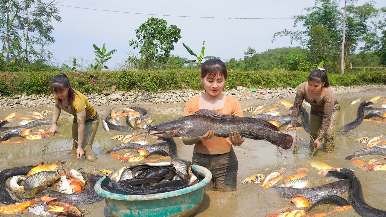 Catching Many Fish with Phương and Toàn - Harvest Wild Snails, Wild Mushrooms, Make Donuts