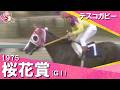 「後ろからは何も来ない！恐れ入った！」1975年 桜花賞 (ＧⅠ) テスコガビー　実況：杉本清【カンテレ公式】