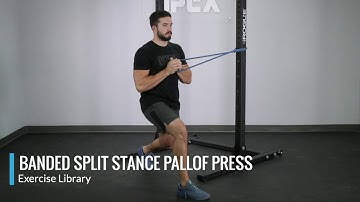 Banded Split Stance Pallof Press - OPEX Exercise Library