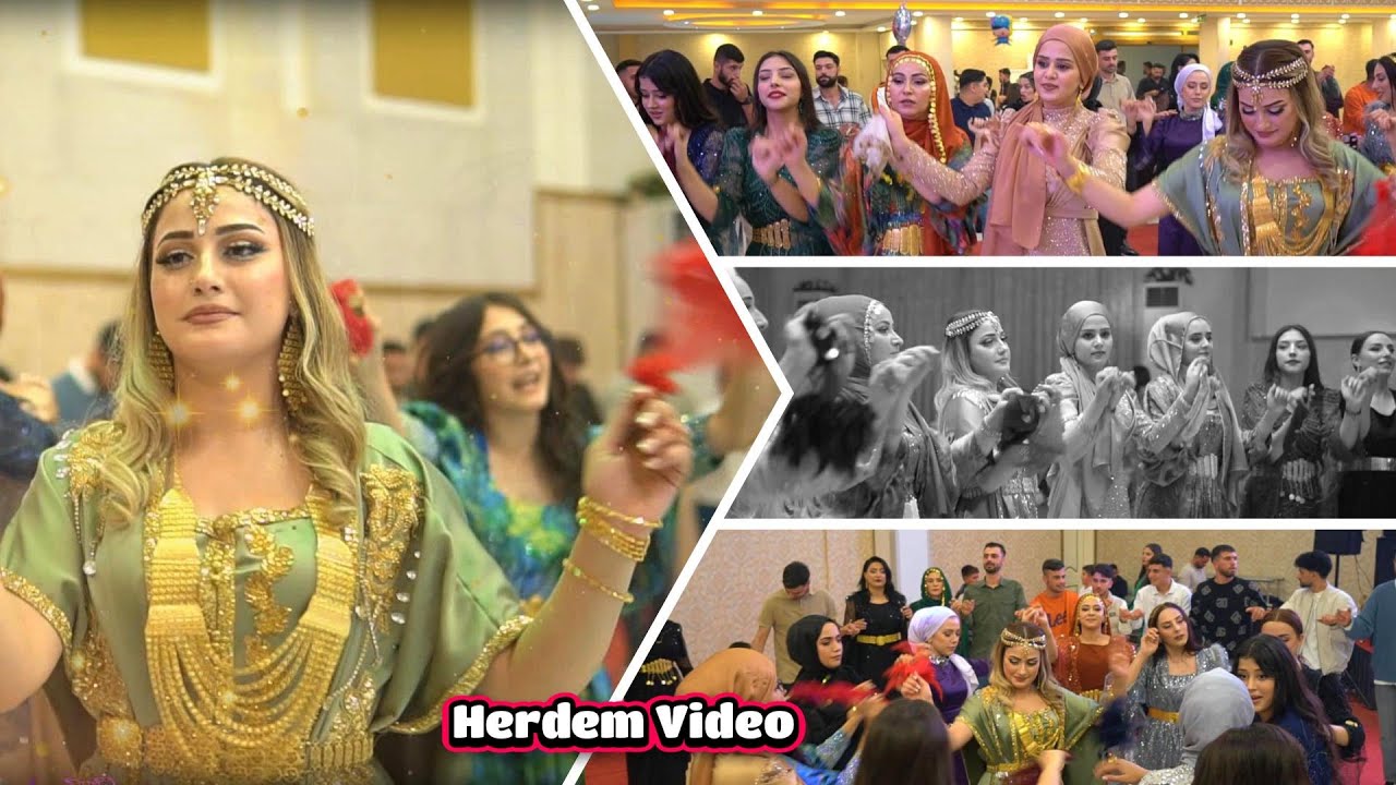 Berat Ak | Süleyman & Piroz Delilo | HERDEM VİDEO #part2