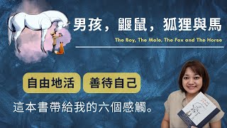 【暖心繪本】要是我們不那麼害怕，會變成什麼樣子呢？一本給你勇氣與愛的友誼之書。►《男孩，鼴鼠，狐狸與馬》查理.麥克斯｜說書｜書評｜千芸說書