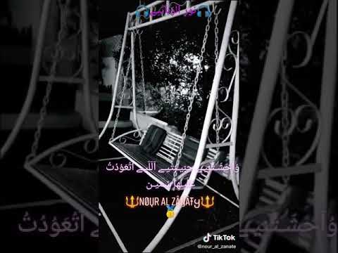 شرين عبد الوهاب وحشتني حبيبتي
