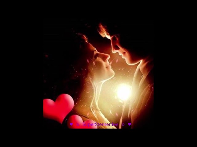 Tommy Steib - Mein Herz singt für dich Liebeslieder