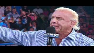 Ric Flair Calls Out Hulk Hogan