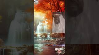Surah Al-Mulk (Complete _ 1-30) by Sheikh Saud Al-Juma'a #sheikhaljuma #juma #surah #almulk #talwat