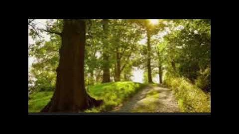 Ist. Massimo Roma - La rovina della Natura