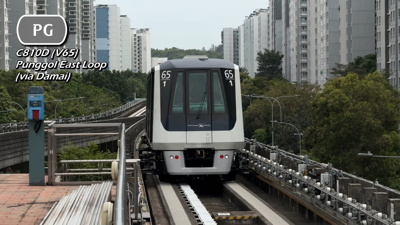 SBST - MHI C810D (V65) (Punggol East Loop via Damai) - YouTube