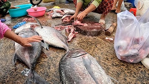 Cảng cá, cảng cá phan thiết ở đây có tất cả các loại cá biển , và giá thì không hề rẻ chút nào.
