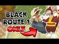 Pokemon Black Hardcore Nuzlocke but I Can Only Use Route 1 Pokemon!