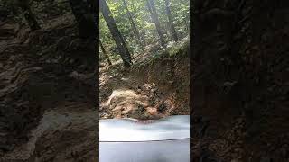 Down Hill Brakes Went Out Lol