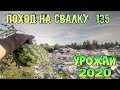 Поход на Свалку # 135 Что растёт на Свалке и Поиск Находок в Мусоре