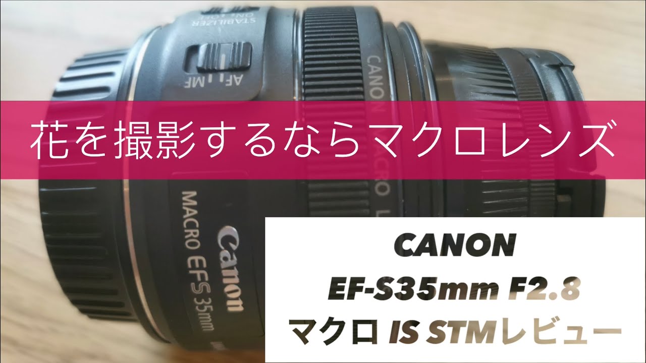 花を撮影するならマクロレンズ‼️ CANON EF-S 35mm F2.8マクロIS STMレビュー