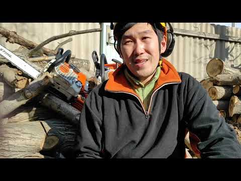 Полный обзор на
