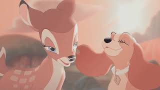 Animash MEP | Dandelions