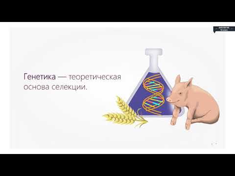 Биология - 10 класс - Селекция. Основные методы селекции