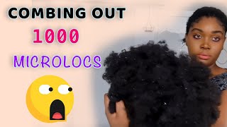 Combing out locs after 1 year / combing out my microlocs