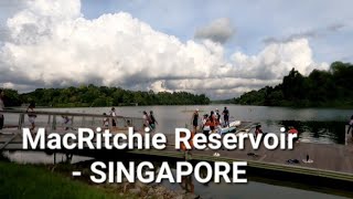 North Shore, Singapore and MacRitchie Nature Trail - Reservoir