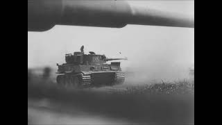 Tiger tanks in action at Kursk during the Summer of 1943