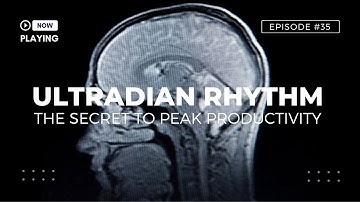 Ultradian Rhythm: 3 Tips to Achieve Superhuman Focus & Productivity