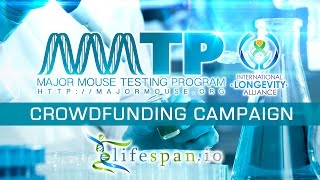 Major Mouse Testing Program — Senolytics for Improved Healthspan | Lifespan.io Crowdfunding Campaign