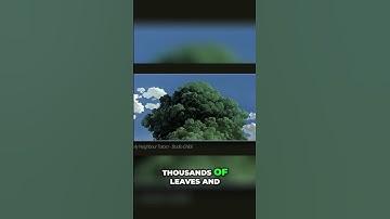 Stop Using Scatter Brushes! Do This for Better Trees