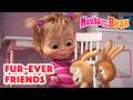 Masha and the Bear 2026 🐺🐰 Fur-ever Friends 🐑🥰 Best episodes cartoon collection 🎬