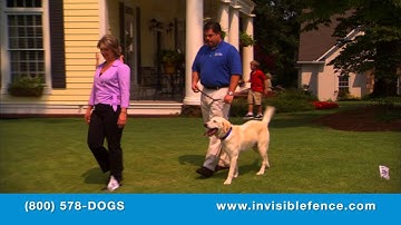 Invisible Fence Commercial