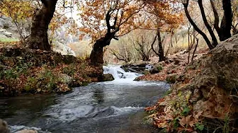 RIVER FLOWS IN YOU 3 HOURS LOOP | BEAUTIFUL RELAXING TUNE | YIRUMA RIVER FLOWS IN YOU 3 HOURS LOOP | BEAUTIFUL RELAXING TUNE | YIRUMA