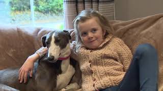 Irish Retired Greyhound Trust  Bluebell and her new family.