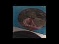 All Vinyl DJ Beats by Kenny Dope rane mixer technics turntables
