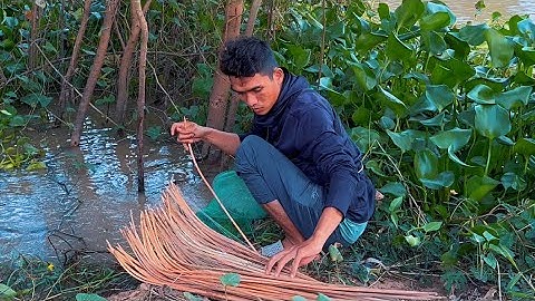 Cắm Câu Vùng Biên Giới Săn Cá Lớn Mùa Gió Chướng 