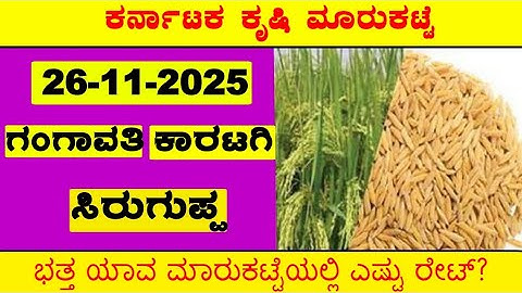 26-11-2025 l #ಭತ್ತ ಬೆಲೆಗಳ ವಿವರಣೆ l Today Paddy Rates l #Sonamasori ಕರ್ನಾಟಕ ಮಾರುಕಟ್ಟೆ l @BealertJob 