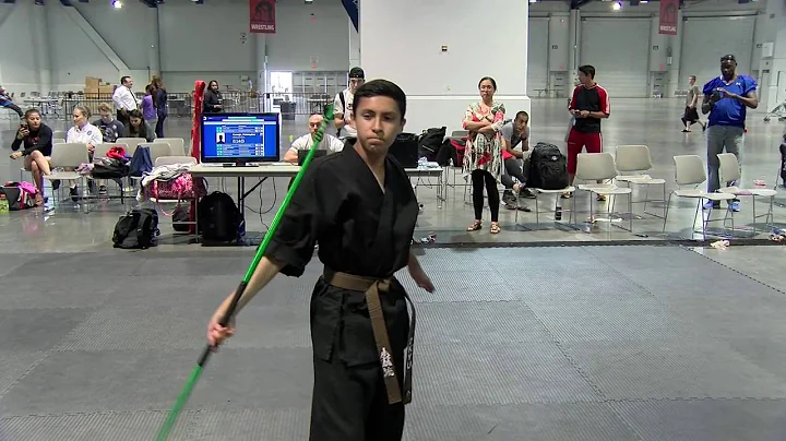Christopher Cornejo WAKO North American Open 2016