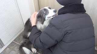 My Dog Reacts to Me Leaving to be Hospitalized for Cancer