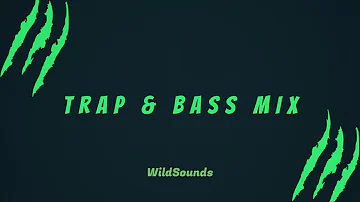 ♫ Trap & Bass Mix ♫ WildSounds Trap Mix 2019 ♫