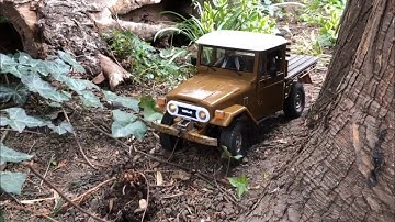 Wpl C44 Back Yard Run