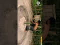 Rescue Turtle From Dry Up Place Build Tortoise Pond for Turtle Shelter Temporary || #shorts