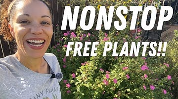 5 Texas Plants That Grow Your Garden Like Crazy and Save You Money!